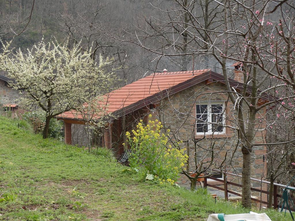 巴尼－迪卢卡博迪尔吉亚达住宿加早餐旅馆住宿加早餐旅馆 客房 照片